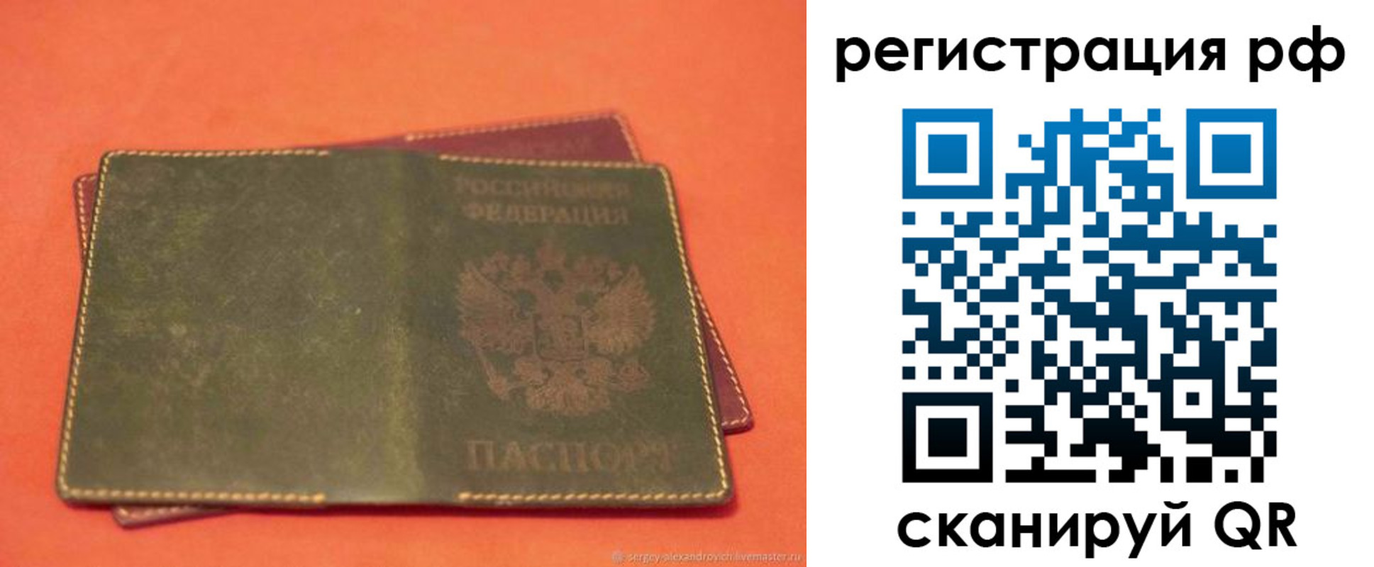 прописка 2025 в Александровске